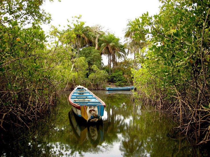 Saloum — Lac Rose & Toubacouta